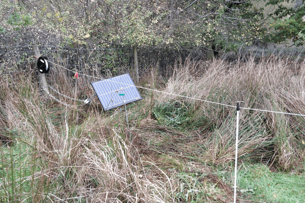 06.11.22 electric fence in position
